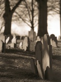 Tombstones in cemetery