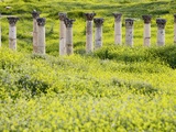 Roman columns rising above field of wildflowers