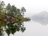 Spring Foliage on Birch Trees and Rock Outcrops Reflected in Laurentian Lake  Lake Laurentian Conse