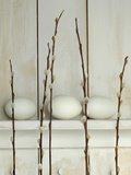 Easter eggs lying on shelf with Pussy willow twigs