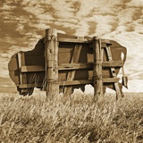 Abandoned Buffalo Sign