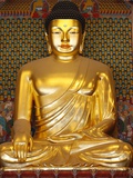 Statue of Sakyamuni Buddha in Main Hall of Jogyesa Temple