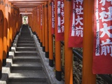 Line of torii gates at Hie Shrine