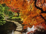 Autumn Colors in Butchart Gardens  Victoria  Vancouver Island  British Columbia  Canada