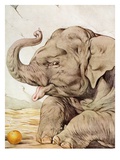 Illustration of Elephant by Edward Julius Detmold