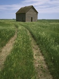 Grass Road Leading To Barn/Eagle Grove/Iowa