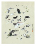 Drawing of butterflies and moths attributed to Settso