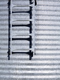 Ladder on Silo
