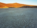 Dunes rising from dry bed at Dead Vlei
