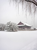 Gyungbok royal Palace under snow