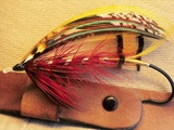 Atlantic Salmon Fly on Hat Brim  British Columbia  Canada