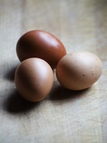 Brown eggs