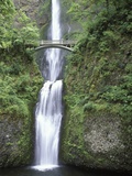 USA  Oregon  Columbia River Gorge Area  Scenic Waterfalls  Multonomah Falls