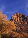 USA  Utah  Zion National Park  Cliffs Along Virgin River