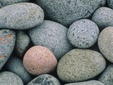Detail of Pebbles on Long Island  Nova Scotia  Canada