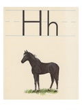 H is for horse