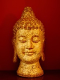 Buddha head