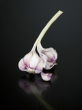 Cloves of Garlic