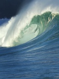 Wave  Waimea  North Shore  Hawaii