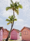 Pink tropical bungalows