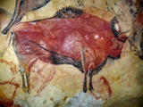 Cave Painting of Bison at Altamira