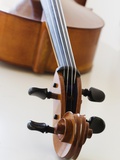 Close up of cello head