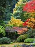 Bridge in Japanese Garden