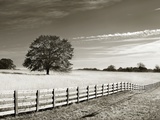Newnan