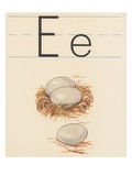 E is for Egg