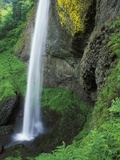USA  Oregon  Columbia River Gorge Area  Scenic Waterfalls  Latourelle Falls