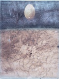 Egg Floating / Abstract Surface
