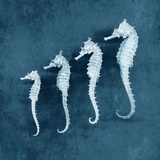 Sea Horses
