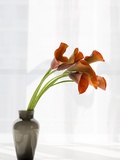 Red Cala Lilies in a Vase