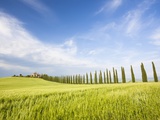 Tuscan landscape