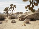 Picnic table in desert