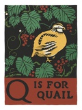 Q is for quail
