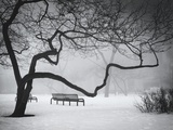 Park Benches In The Snow In Chicago
