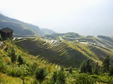 Natural scenery of Longji Terraced Field in Guilin  Guangxi Province  China