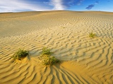 Pattern in sand dunes