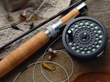 Fishing Reel and Lures