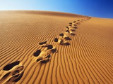 Footprints in desert