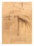 Sketch for a wing with moveable ends by Leonardo da Vinci