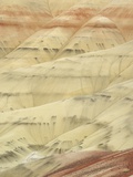 The Painted Hills at the John Day Fossil Beds National Monument  Oregon  USA