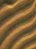 Ripples in the Sand at Singing Sands (also Known As Dorcas Bay) in Bruce Peninsula National Park  O