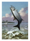 Tarpon caught on hook leaps out of water; fishing boat floats nearby