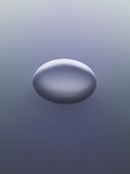 Silver egg