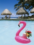 Cook Islands  South Pacific  Rarotonga  Tropical Drink in Pink Flamingo Float
