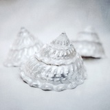 Pearlized Christmas Tree Shells