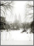 Central Park Snow