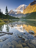 Mount Edith Cavell Reflected in Cavell Lake in Jasper National Park  Alberta  Canada